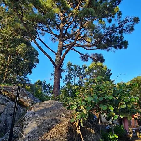 Charming Chalet In San Vicente Del Grove With Sea View San Vicente do Grove